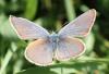 243944 – Photo : Catherine Reymonet-Smitten – France (19)